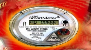 My Son Died – Smart Grid Meters