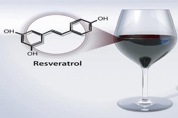 New Drug Being Developed Using Compound Found in Red Wine ‘Could Help Humans Live Until They are 150′