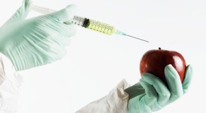 Nine Things You Should Know About Genetically Modified Organisms