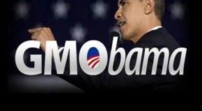 Obama sells out U.S. citizens yet again by signing the ‘Monsanto Protection Act’ into law