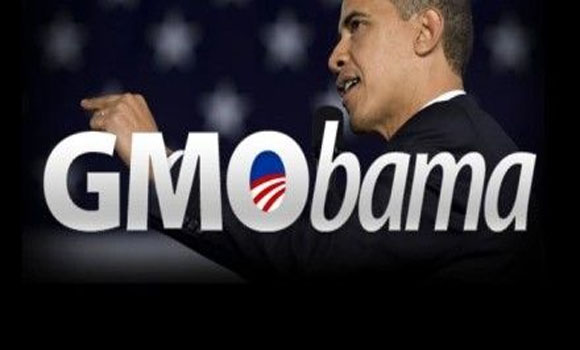 Obama sells out U.S. citizens yet again by signing the 'Monsanto Protection Act' into law