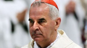 Vatican accused of sex scandal cover-up