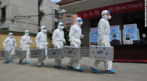 H7N9 Bird Flu Cases In China Rise By Five To 87; Deaths Unchanged At 17