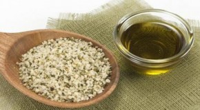How Hemp Oil Cures Cancer And Why No One Knows