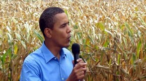 How did Barack Obama become Monsanto’s man in Washington?