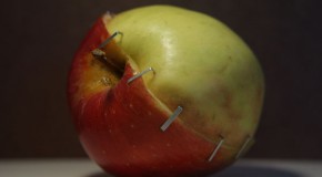 Poison Apples: “Organic” Fruit can be Tainted by Antibiotics until Fall 2014