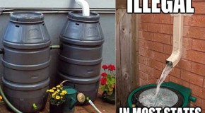 Video: Collecting Rainwater Now Illegal in Many States