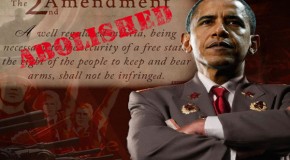 Video: Democrat Admits Obama Agenda Is Total Gun Ban