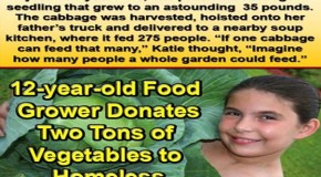 12-year-old Food Grower Donates 2 Tonnes of Vegetables to Homeless