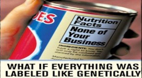 GMO Labeling Bill Introduced by Boxer, DeFazio – Right to Know Act