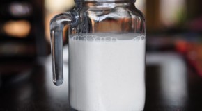 Got Hemp Milk? The Benefits of Hemp Milk
