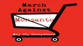 Monsanto Hides Behind Cries of “Elitist” in Response to Tremendous Global Social Media Movement