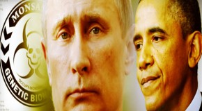 Russia Warns Obama: Global War Over “Bee Apocalypse” Coming Very Soon