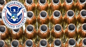 US Senator: Big Sis Buying Ammo To Dry Up Supply