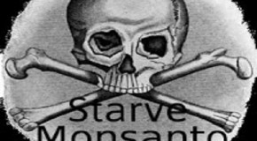 10 Ways to Starve a Multi-National GMO Conglomerate