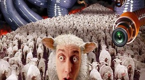 19 Surveys Which Prove That A Large Chunk Of The Population Is Made Up Of Totally Clueless Sheeple