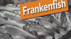 59 Supermarkets Say No to Frankenfish
