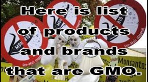 Comprehensive List Of GMO Products and Companies