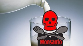 FOX Reporters Fired For Reporting the Truth About Monsanto Milk