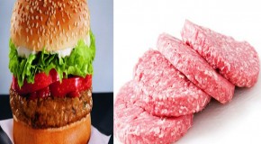 Fast Food Burgers Oozing With Parasites and Ammonia