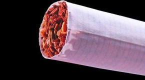 Ninety percent of U.S. tobacco is GMO; hey smokers, you’re smoking pesticide!