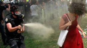 Turkey’s resistance image forged as pepper spray burns woman in red dress