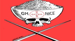 Genetic rice lawsuit in St. Louis settled for $750 million
