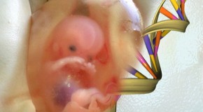 Has The Era Of Genetically Pure “Gattaca Babies” Now Begun?