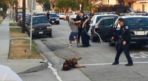 Officers Receive Hundreds of Death Threats After Gunning Down Man’s Dog