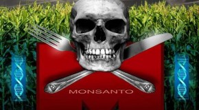 Seeds of Destruction: The Diabolical World of Genetic Manipulation