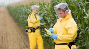 The Sinister Monsanto Group: ‘Agent Orange’ to Genetically Modified Corn