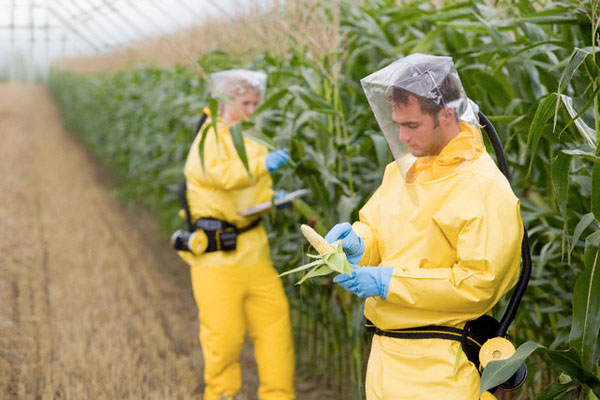 The Sinister Monsanto Group ‘Agent Orange’ to Genetically Modified Corn