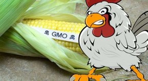 Top Ways To Flip Monsanto The Bird Daily