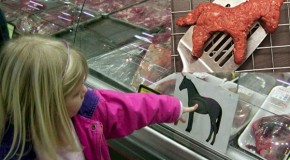 USDA approves horse slaughterhouse to produce meat for human consumption