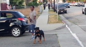 Video: Cops arrest California man for filming them and then kill his dog