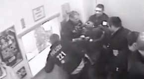 Video: Police Pulverize Suspect Like a Pinata