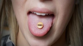 Consumer alert: Most common vitamins, including children’s vitamins, found to contain GMOs