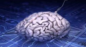 DARPA Issues Request For Information to Create a Computer Brain