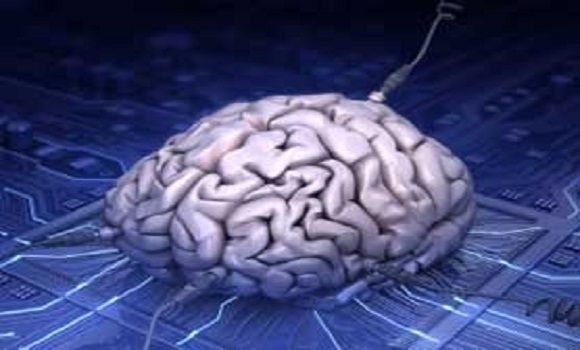 DARPA Issues Request For Information to Create a Computer Brain