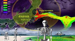 Fukushima: A Nuclear War without a War