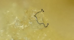 McDonald’s Chicken McNuggets Found to Contain Mysterious Fibers, Hair Like Structures