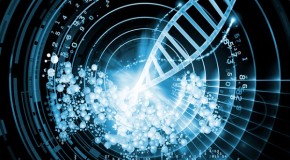 The DNA Nanobots Have Arrived