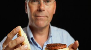 World’s First $332,000 Lab Grown Burger to Change the Global Diet