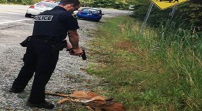 Cop Prevents Animal Rescue, Shoots, Threatens Arrest