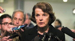 Feinstein Exploits Navy Yard Shooting to Renew Call to Disarm Mr. and Mrs. America