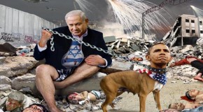 Israeli Official Calls Barack Obama Coward
