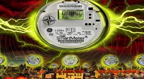 Take Back Your Power – How to Mitigate the Harmful Effects of Smart Meters
