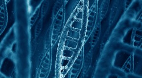 You Really Can Change Your DNA – Here’s How