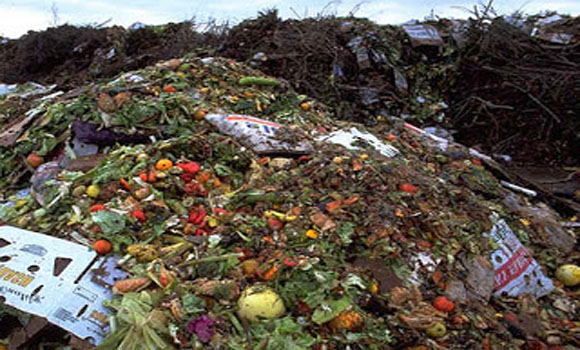 About 40 Percent Of All Food In The United States Is Thrown In The Garbage