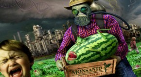 In the Beginning There Was Monsanto